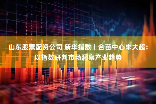 山东股票配资公司 新华指数｜合苗中心朱大超：以指数研判市场洞察产业趋势