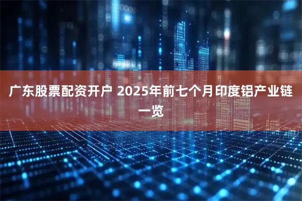 广东股票配资开户 2025年前七个月印度铝产业链一览