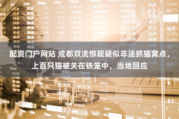配资门户网站 成都双流惊现疑似非法抓猫窝点，上百只猫被关在铁笼中，当地回应