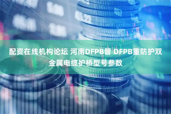 配资在线机构论坛 河南DFPB管 DFPB重防护双金属电缆护桥型号参数
