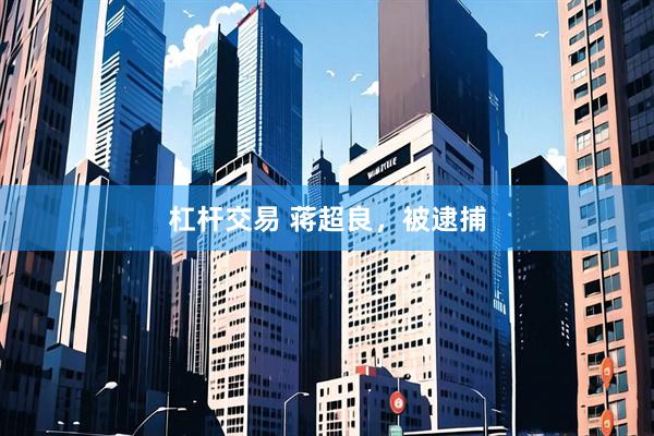 杠杆交易 蒋超良，被逮捕